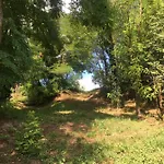Cica